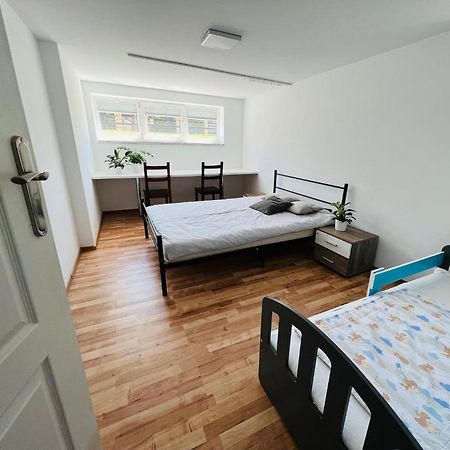 דירות חויניצה Apartament Pod Swierkiem מראה חיצוני תמונה