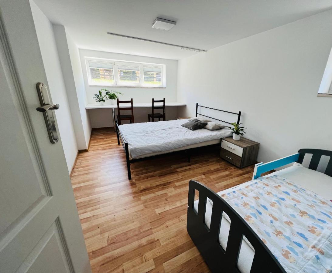 דירות חויניצה Apartament Pod Swierkiem מראה חיצוני תמונה