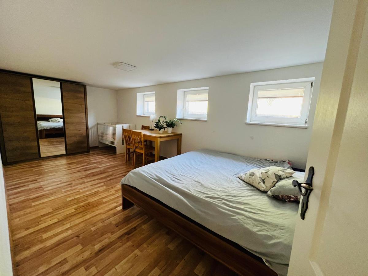 דירות חויניצה Apartament Pod Swierkiem מראה חיצוני תמונה